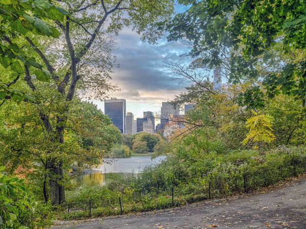 At the Lake in Central Park, New York City