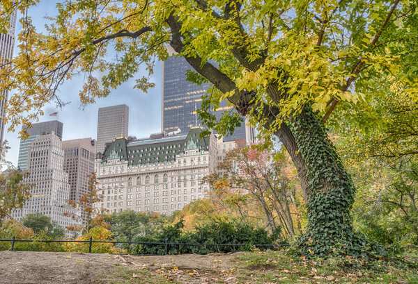 Central Park, New York City in autumn with Plaza hotel