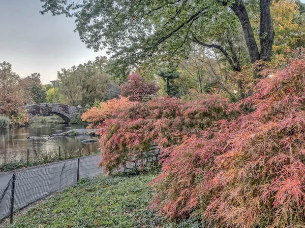 Pont Gapstow Central Park, New York — Photo