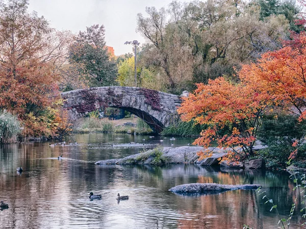 Gapstow köprü central park, new york city — Stok fotoğraf
