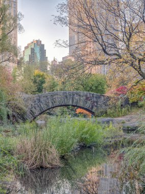 gapstow köprü central park, new york city