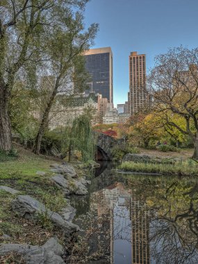 gapstow köprü central park, new york city
