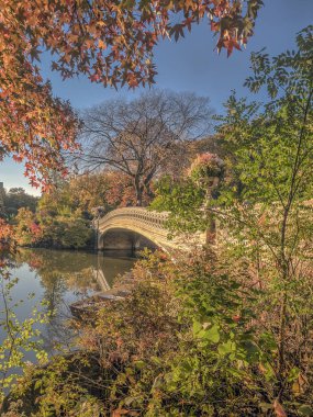 yay köprü Merkez Parkı