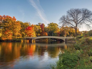 yay köprü Merkez Parkı
