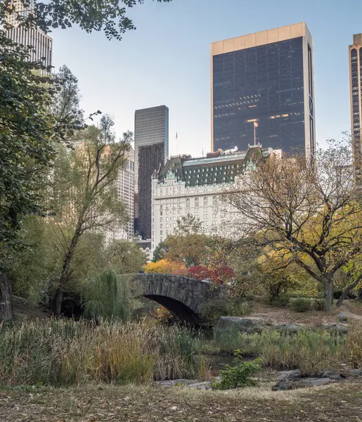 Gapstow köprü central park, new york city — Stok fotoğraf