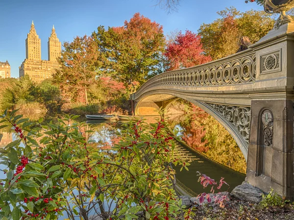 Boog brug central park — Stockfoto