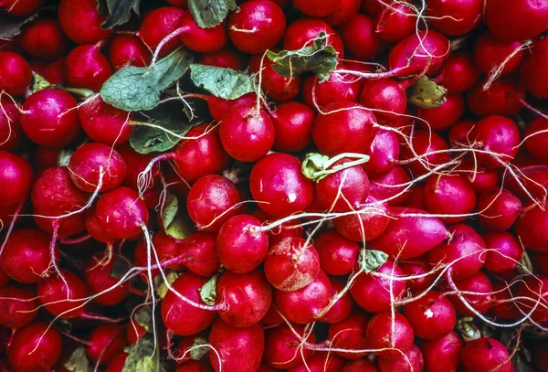 Red radish in market for sale in basket — Stock Photo, Image