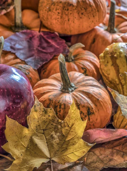 Pumpkin and autumn leaves — Stock Photo, Image