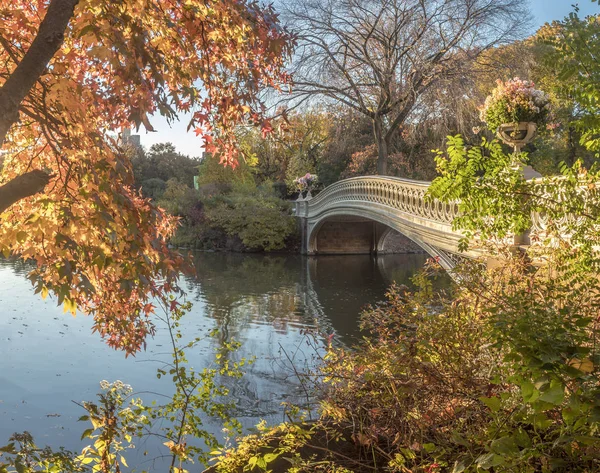 Pont de l'Arc Central Park — Photo