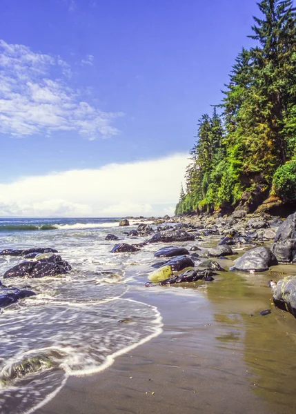 Vancouver island, znajduje się w british columbia, Kanada — Zdjęcie stockowe