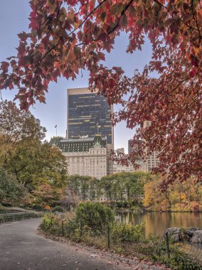 Central Park, New York şehir sonbahar 