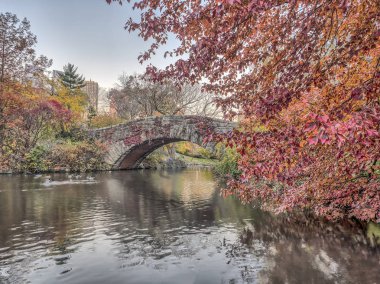 Gapstow köprü Central Park, New York City sonbahar