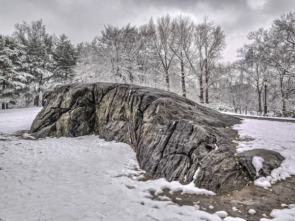 Central park, new york city zima — Zdjęcie stockowe