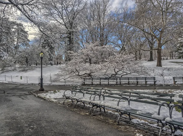 中央公园、 纽约城的冬天 — 图库照片