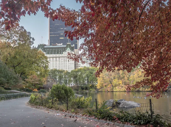 Gapstow köprü Central Park, New York City sonbahar — Stok fotoğraf