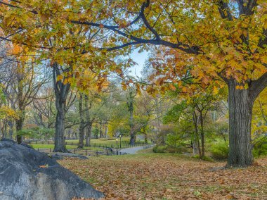 Central Park, New York Şehri
