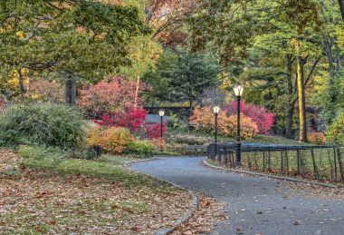 Central Park, New York Şehri