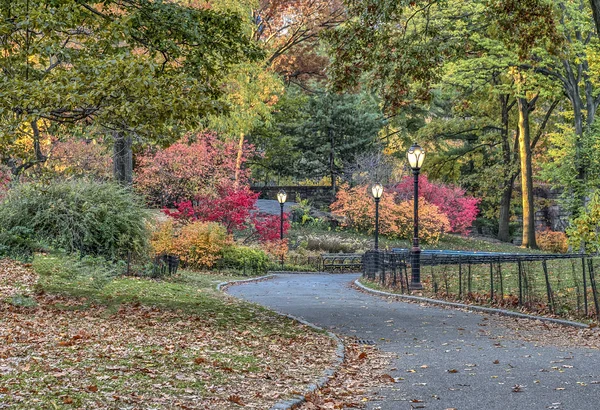 Central Park, Nowy Jork — Zdjęcie stockowe