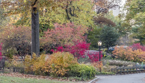 Central Park, New York — Foto Stock