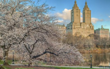 Bahar central park, new york city
