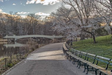 yay köprü Merkez Parkı