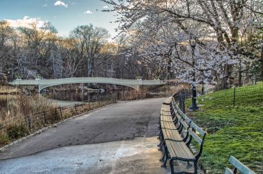 yay köprü Merkez Parkı