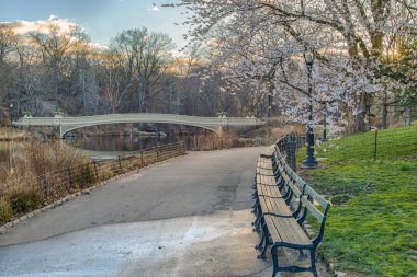 yay köprü Merkez Parkı