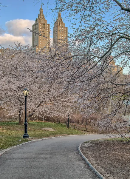 Central park, new york city jaro — Stock fotografie