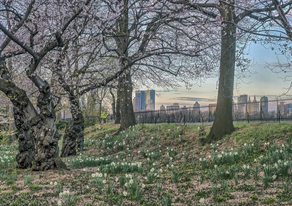 Primavera en Central Park — Foto de Stock