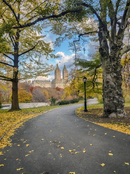 深秋的纽约中央公园，城市 — 图库照片