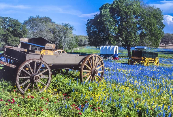 Texas Hügelland — Stockfoto