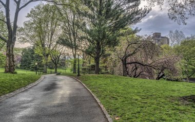 Bahar central park, new york city 