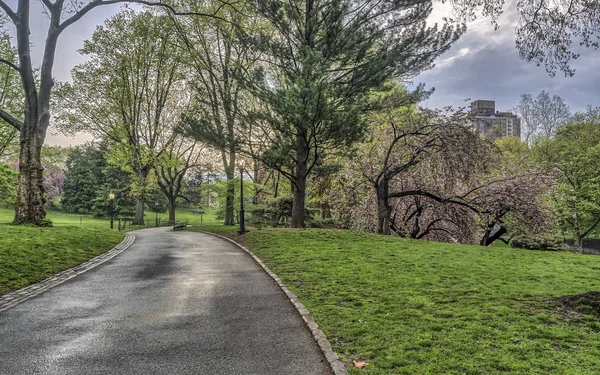 Central Park, Nueva York primavera — Foto de Stock