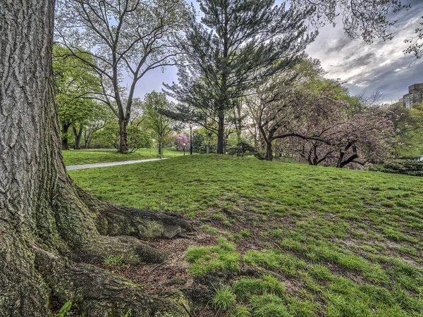 Central Park, New York City spring — Stock Photo, Image
