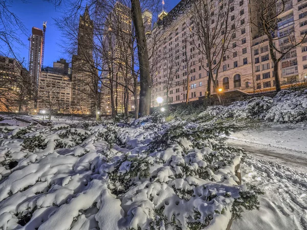 Central Park w Nowym Jorku po śniegu — Zdjęcie stockowe