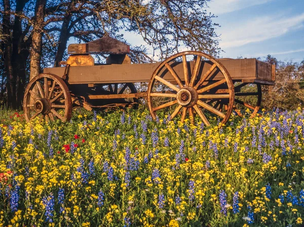 Vagão coberto no país Texas Hill — Fotografia de Stock