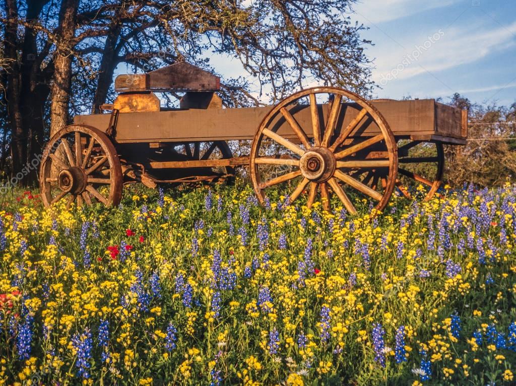 Texas Hill Country is a 25-county region of Central Texas and South Texas