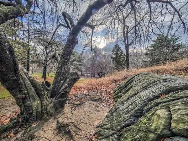 Central Park, New York City — Stock Photo, Image