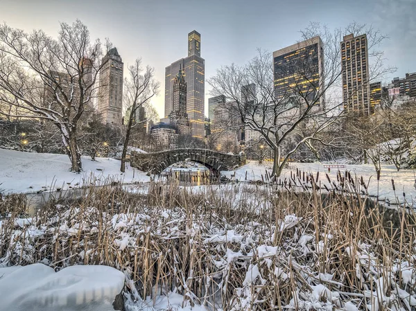 Central Park, New York City — Stockfoto