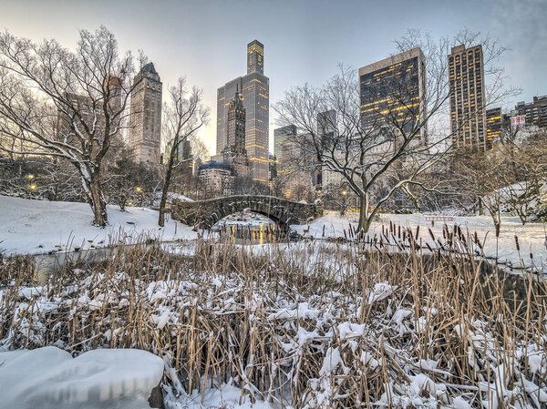 Central Park, New York City winter snow