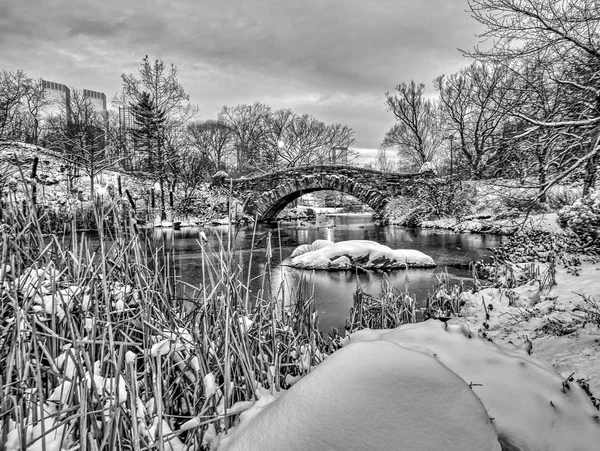 Central Park, New York City — Stockfoto