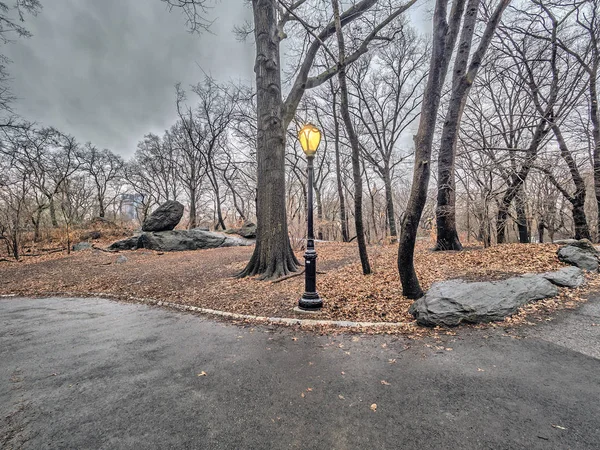 Central Park, Nova Iorque — Fotografia de Stock