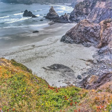 Kuzey Kaliforniya sahili