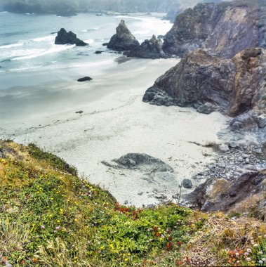 Kuzey Kaliforniya sahili