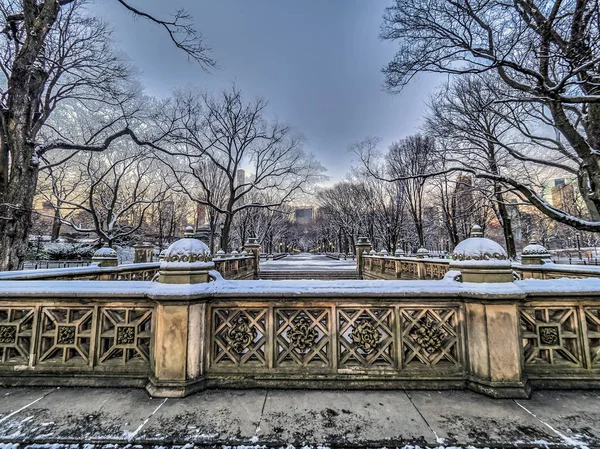 Central Park Mall in inverno — Foto Stock