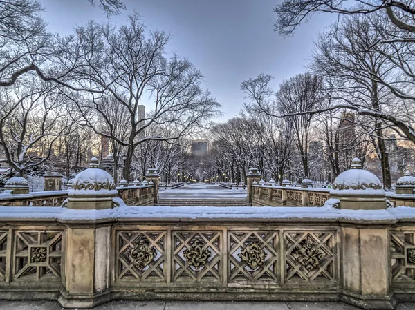 Central Park Mall no inverno — Fotografia de Stock