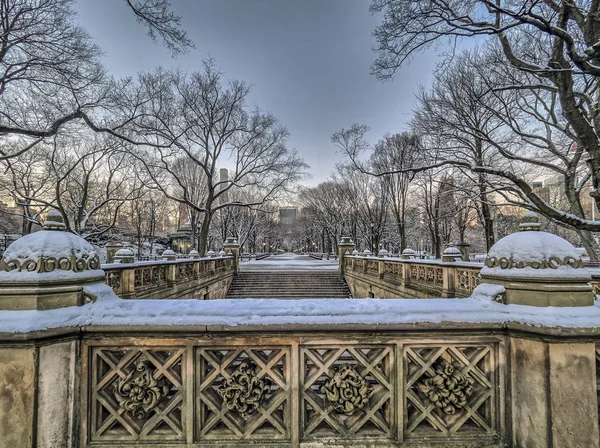 Central Park Mall en hiver — Photo