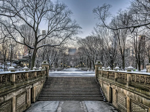 Central Park Mall i vinter — Stockfoto