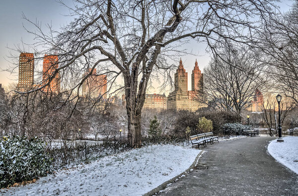 Central Park, New York City after snow storm in early morning