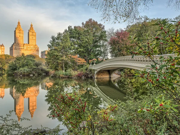 Bow bridge Central Park hösten — Stockfoto